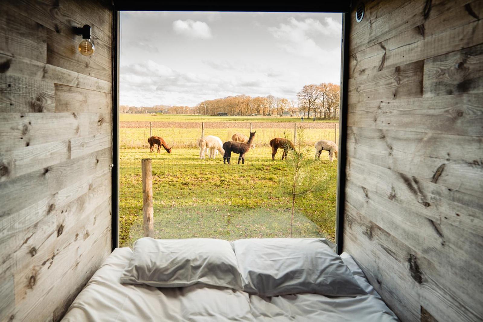 Bed and Breakfast In De Hei Mariahout Экстерьер фото